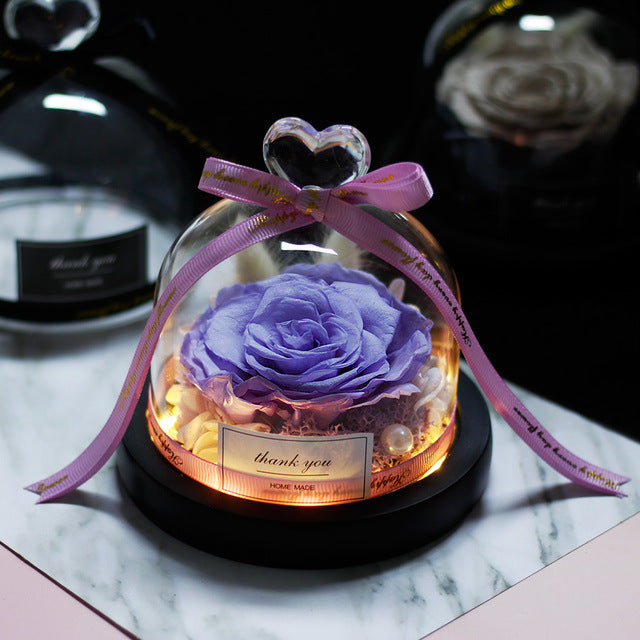 Rosa Eterna LED con Cupola