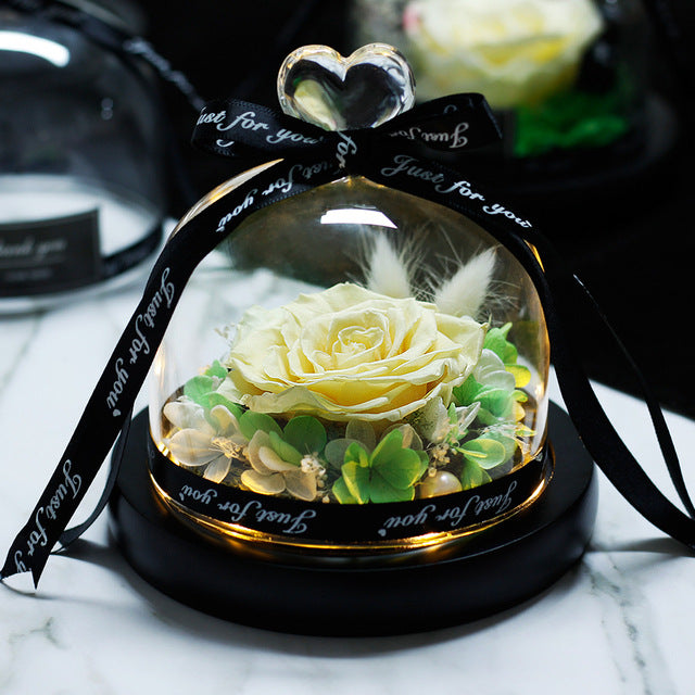 Rosa Eterna LED con Cupola