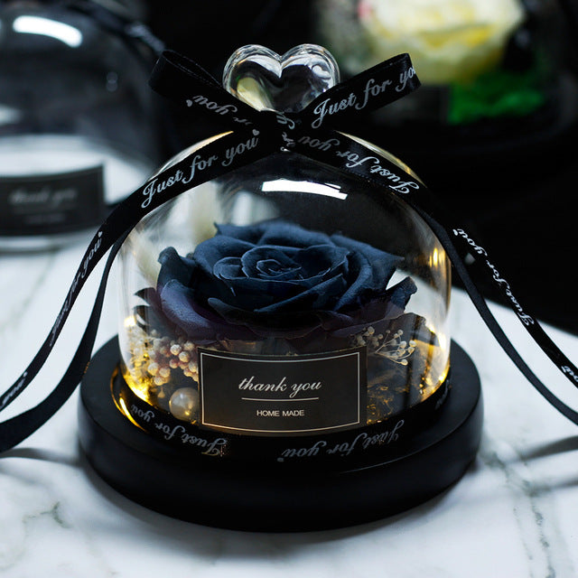 Rosa Eterna LED con Cupola