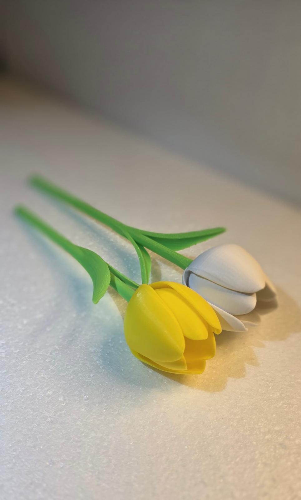 Tulipani stampati in 3D