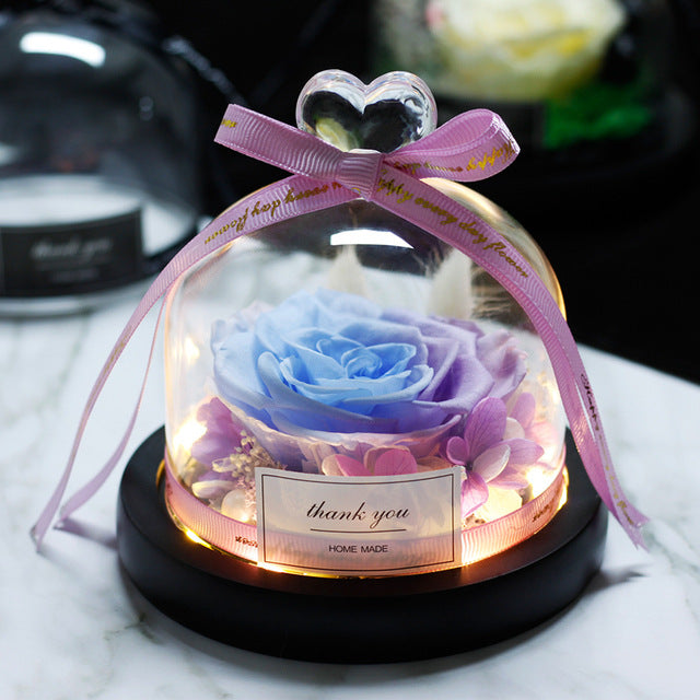 Rosa Eterna LED con Cupola