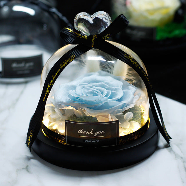 Rosa Eterna LED con Cupola