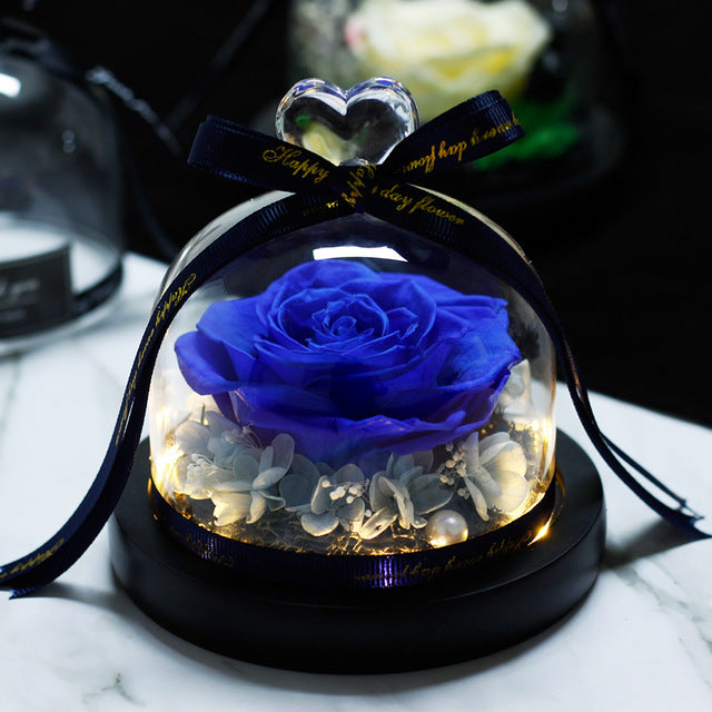 Rosa Eterna LED con Cupola
