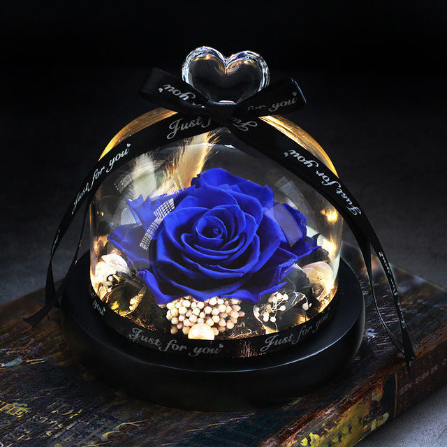 Rosa Eterna LED con Cupola