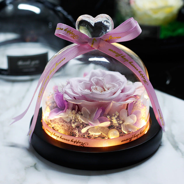 Rosa Eterna LED con Cupola
