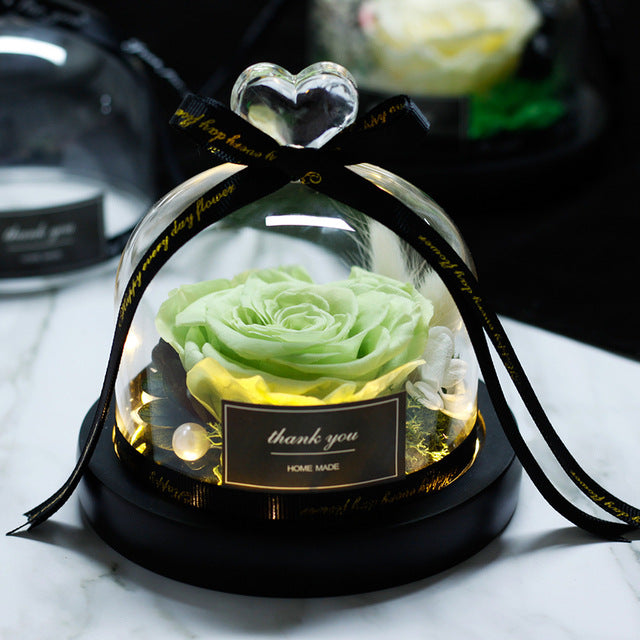Rosa Eterna LED con Cupola