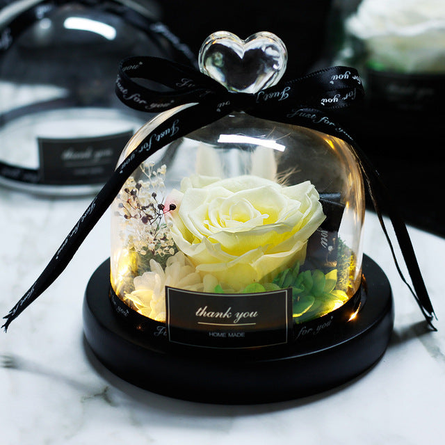 Rosa Eterna LED con Cupola
