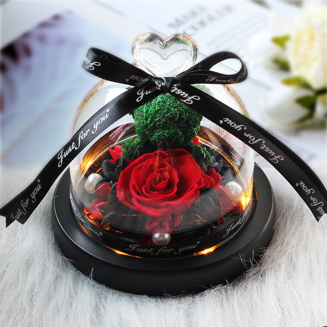 Rosa Eterna LED con Cupola