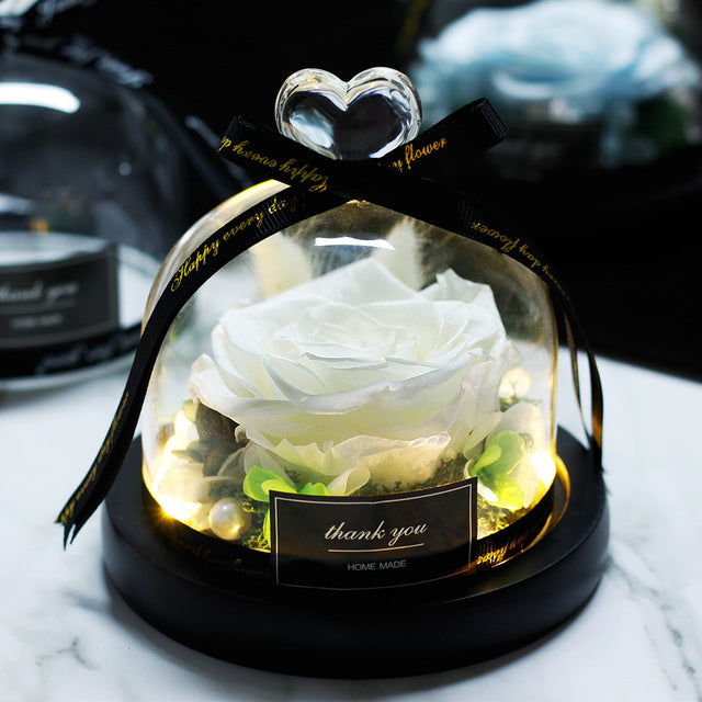 Rosa Eterna LED con Cupola