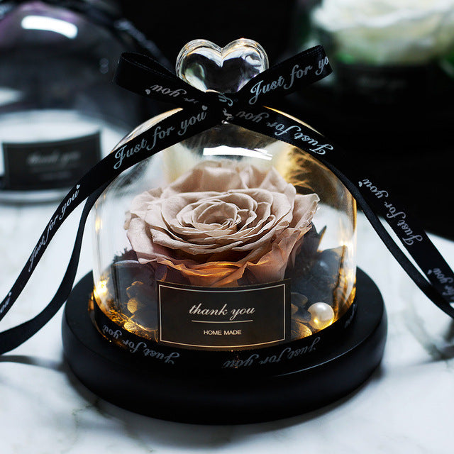 Rosa Eterna LED con Cupola