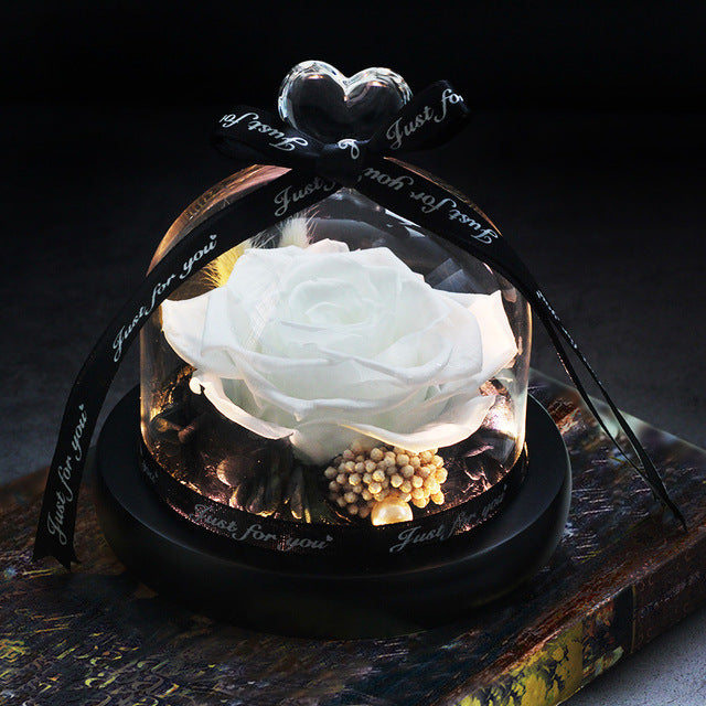 Rosa Eterna LED con Cupola