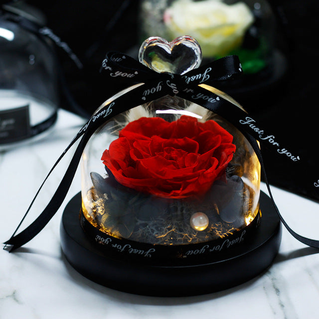 Rosa Eterna LED con Cupola