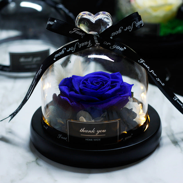 Rosa Eterna LED con Cupola