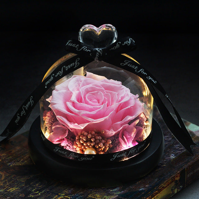 Rosa Eterna LED con Cupola